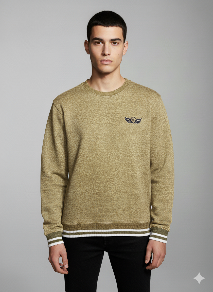 H EMBRIODERED Round Neck Imported Men's Sweatshirt  TW:- 743